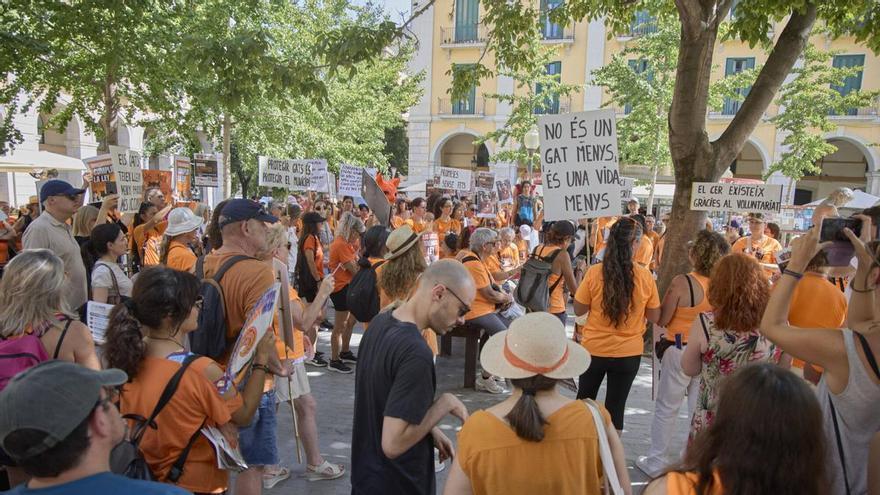 Concentració a Girona per garantir la correcta gestió de les colònies felines