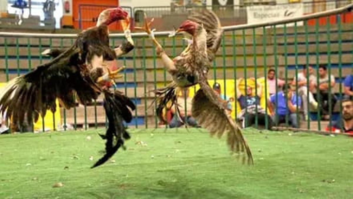 WhatsApp Image 2026 02 21 at 11.15.43