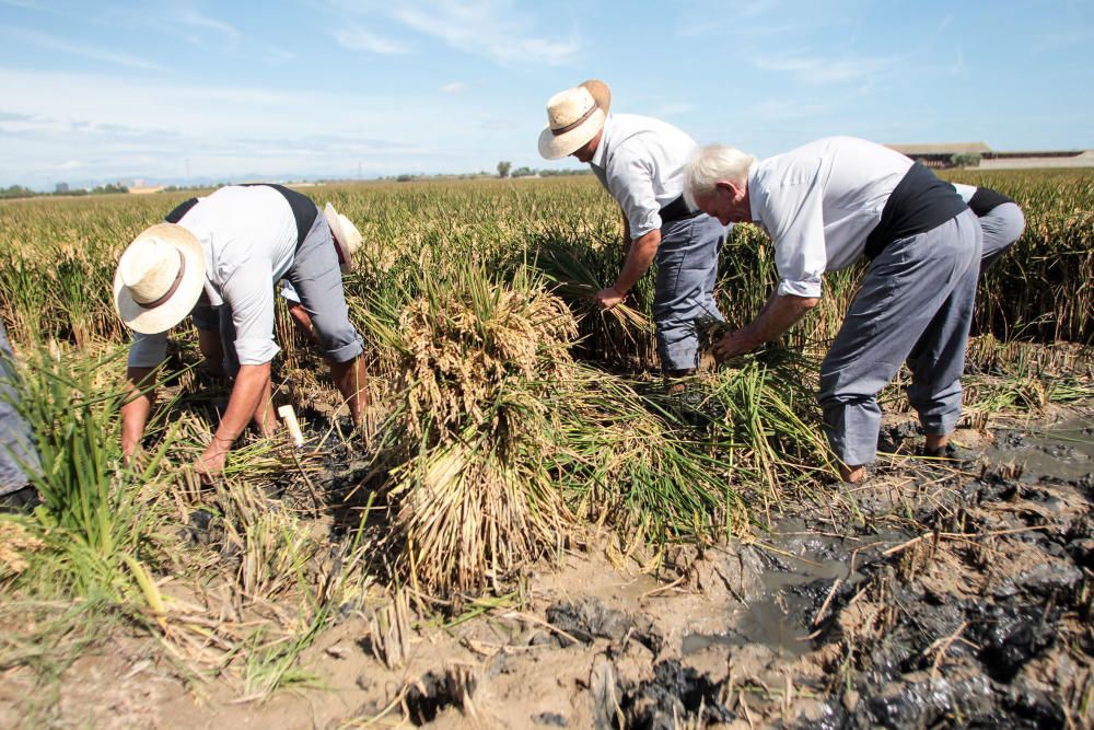 Fiesta de la Siega del Arroz