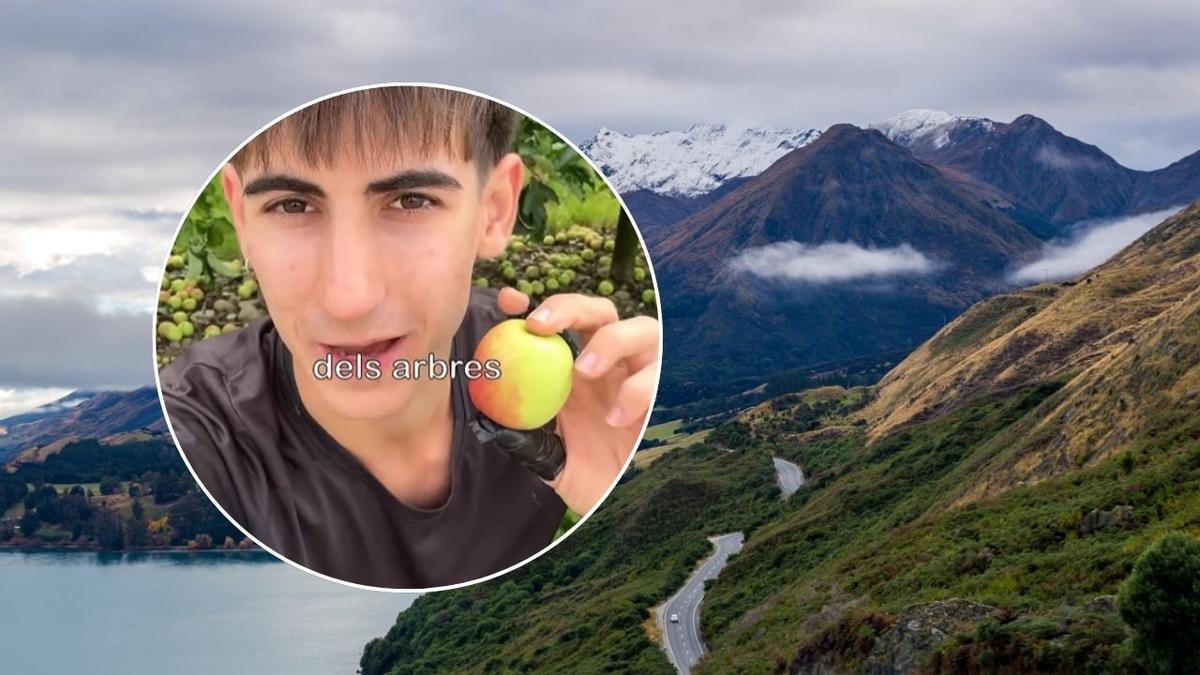 Este es el día a día de un mallorquín trabajando en el campo en Nueva Zelanda