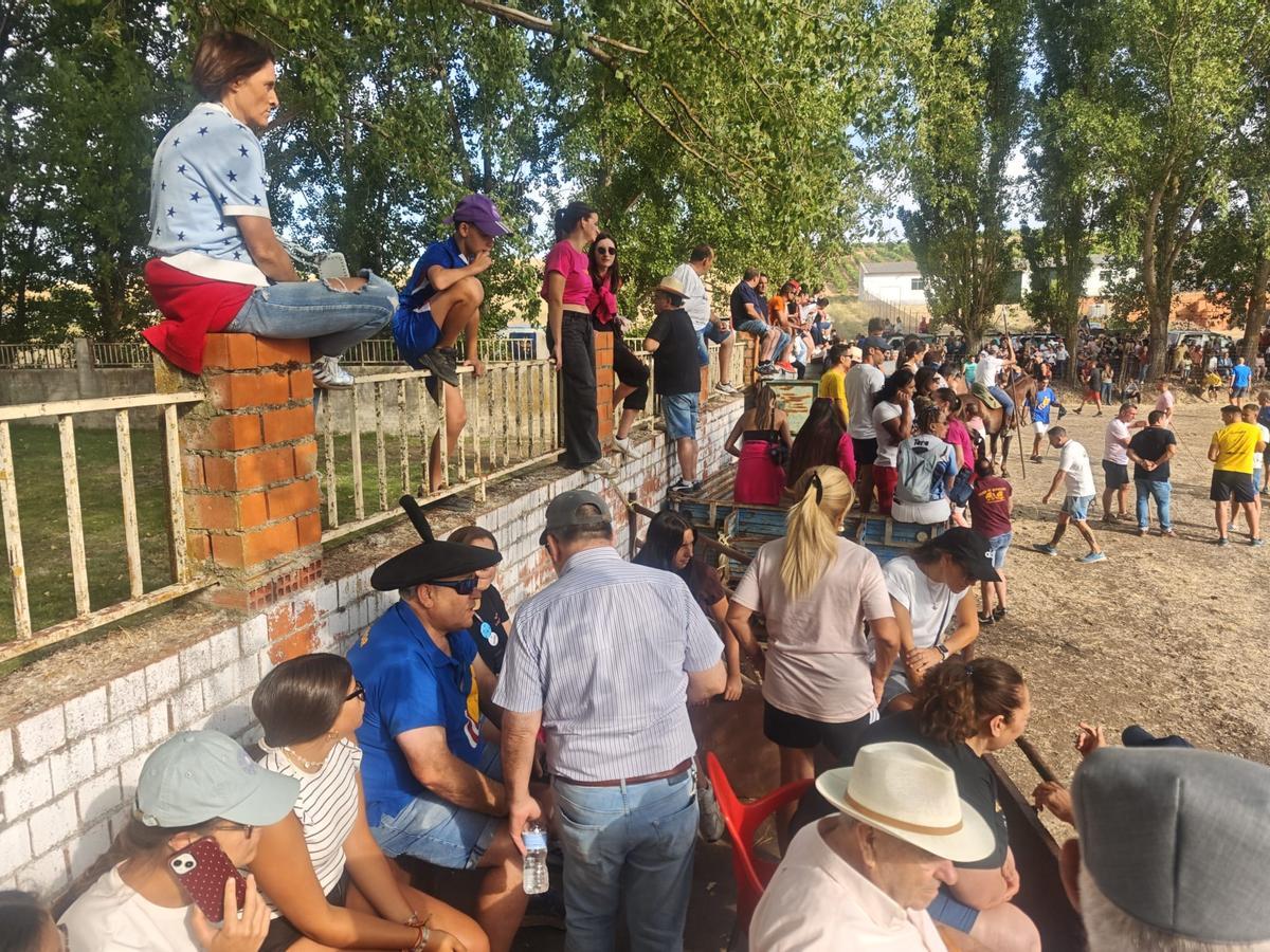 GALERÍA | El encierro de Villamor de los Escuderos en imágenes GALERÍA | El encierro de Villamor de los Escuderos en imágenes