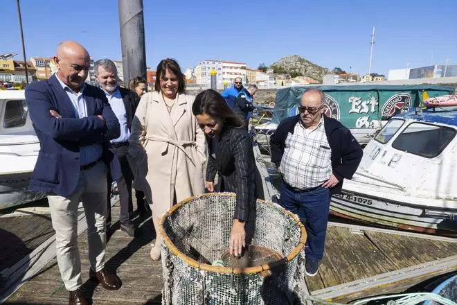 Mar inviste 640.000 euros na renovación de dez portos autonómicos de Galicia