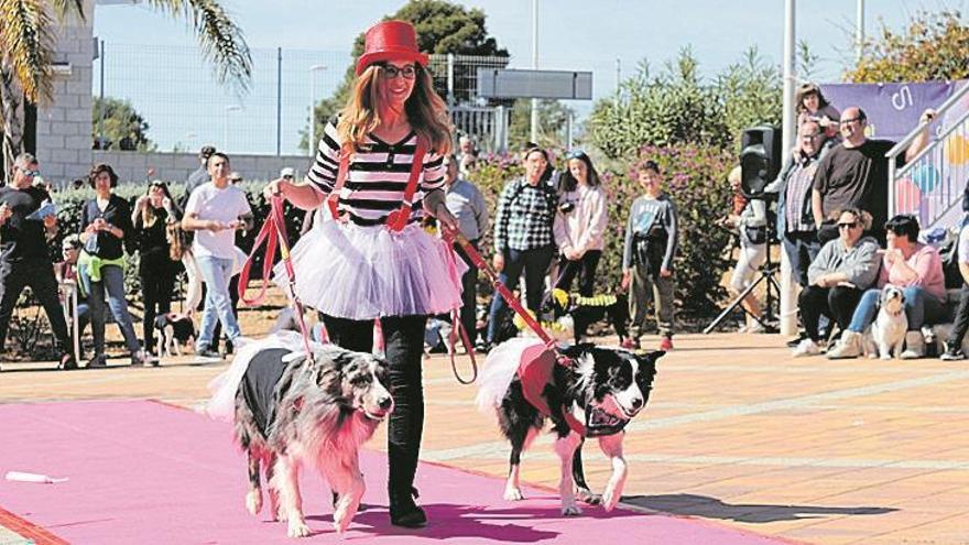 Alcossebre muestra su ingenio en el gran desfile de sus carnavales