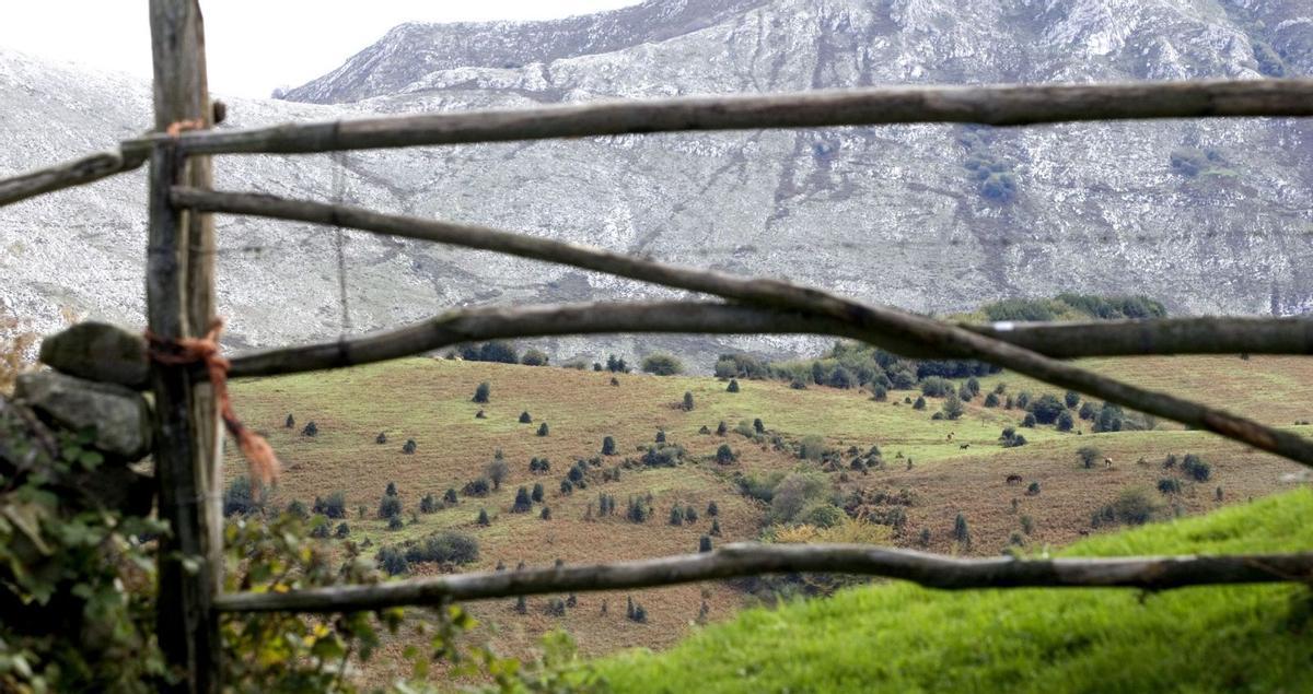 Nómadas digitales, bien amarrados al campo