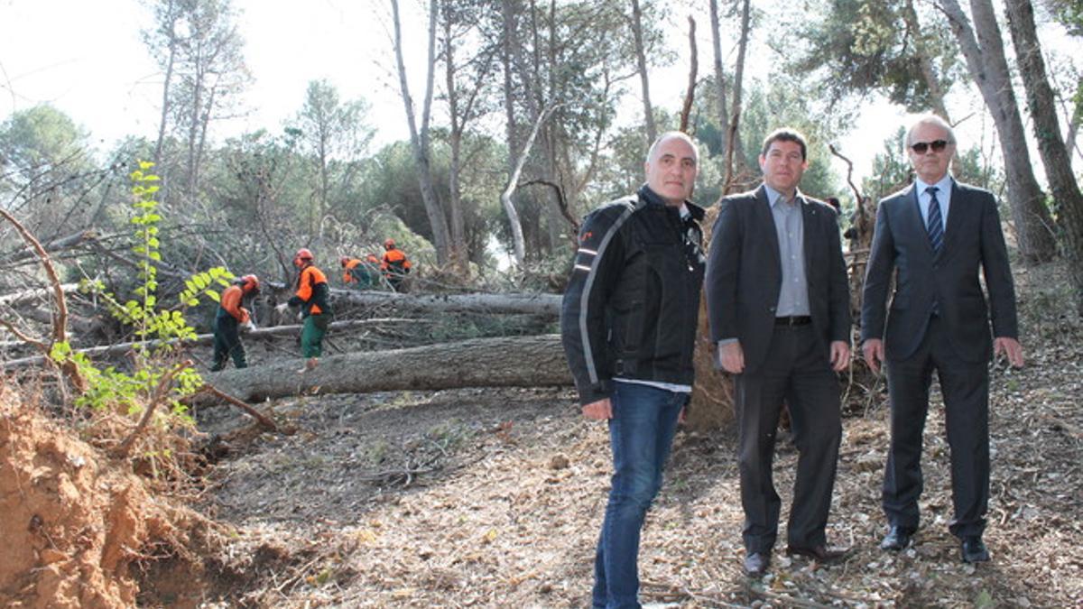 Sabadell adjudica la retirada de los árboles caídos por el vendaval