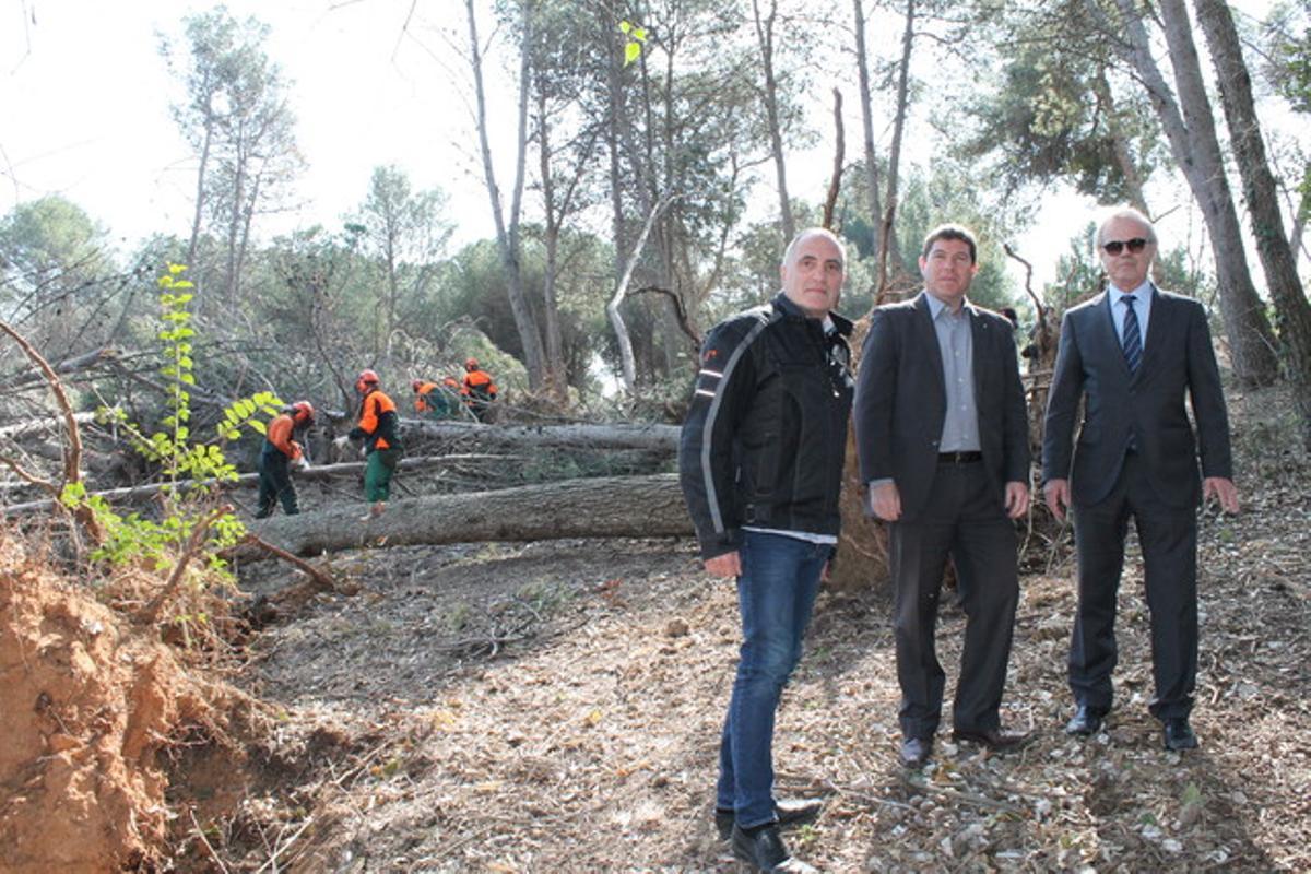 Sabadell adjudica la retirada dels arbres caiguts pel vendaval.