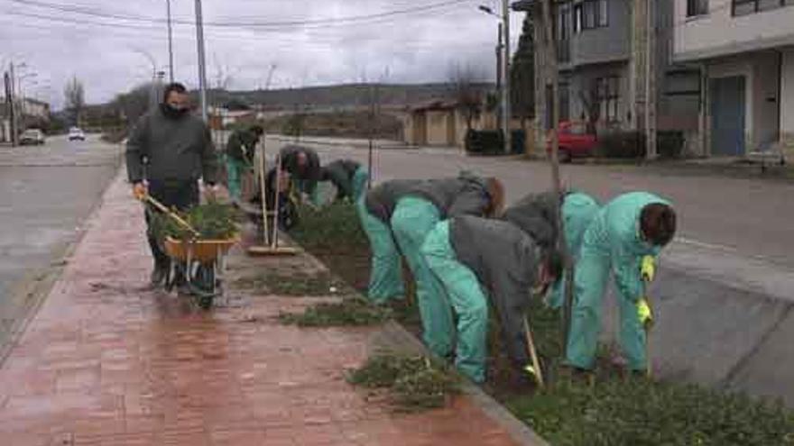 Labores de ajardinamiento en Coreses