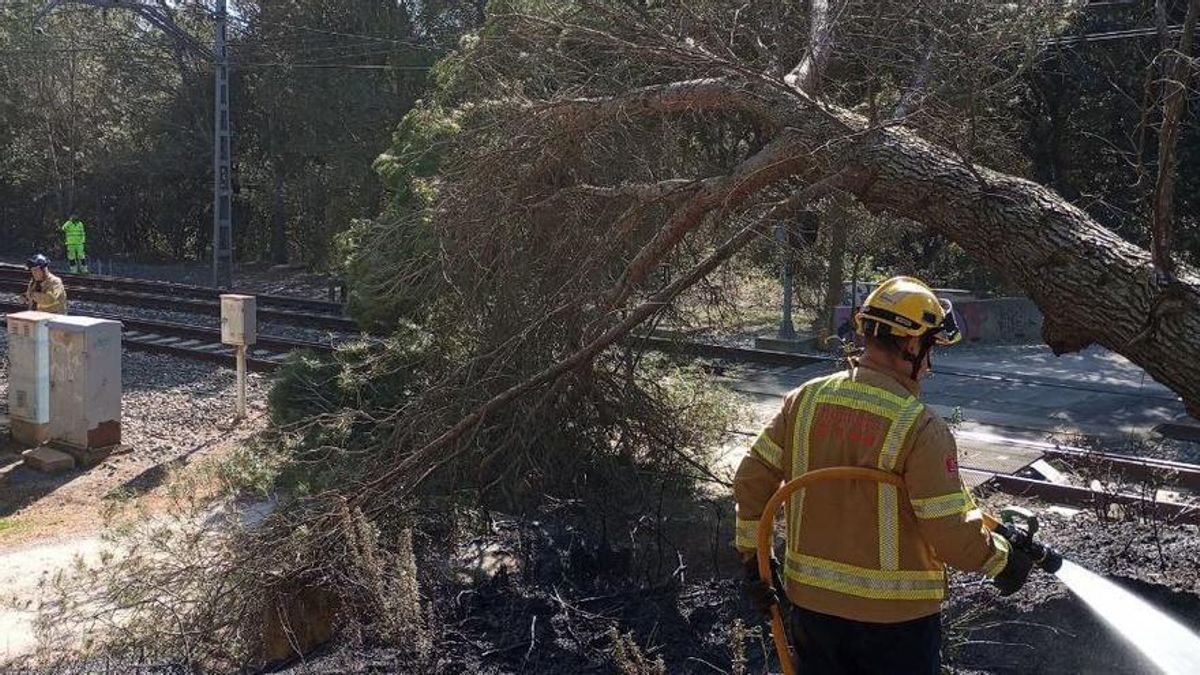 La caiguda d'un arbre sobre la catenària va deixar aïllat un comboi a l'alçada de Sant Miquel de Fluvià.