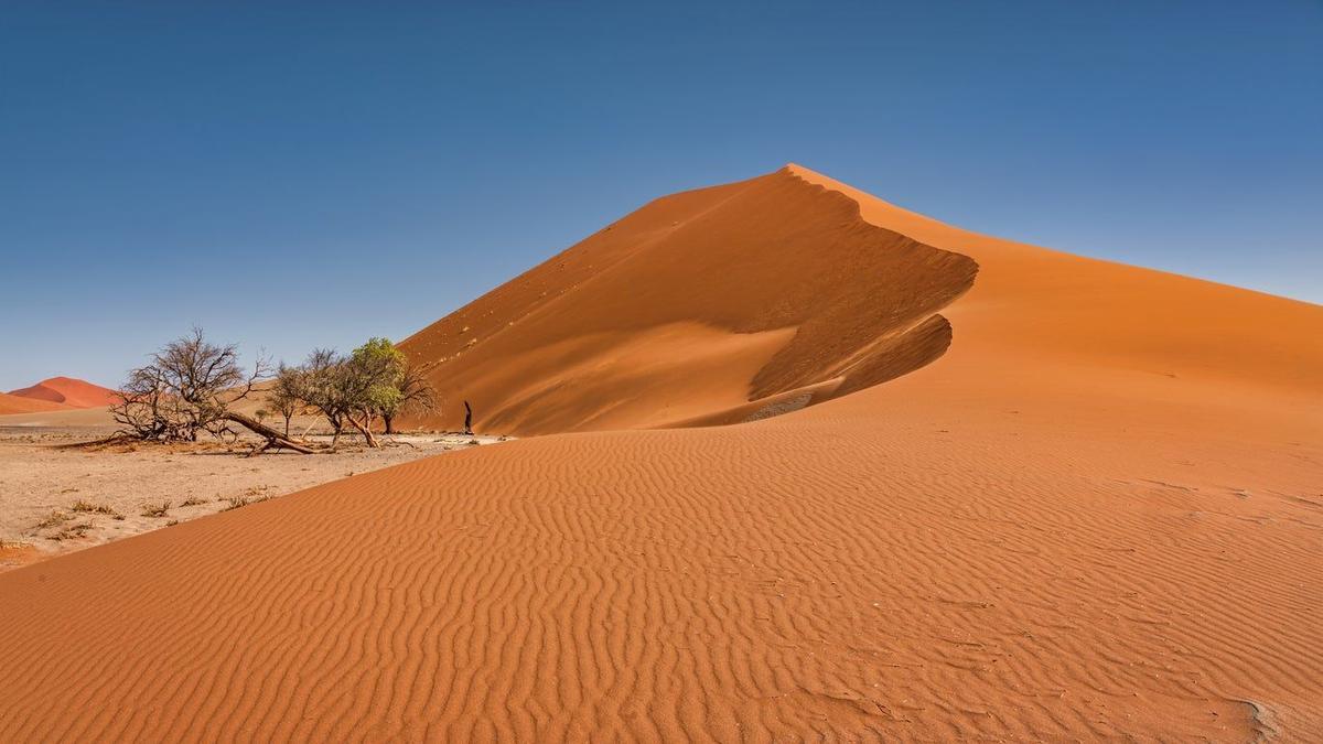 Desierto de Namib, Namibia