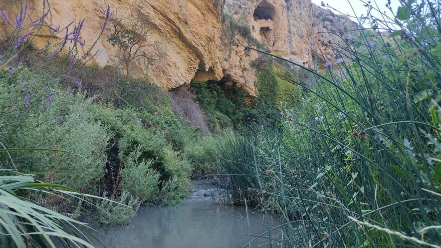 Alertan de la contaminación por nitratos en el Alto Quípar