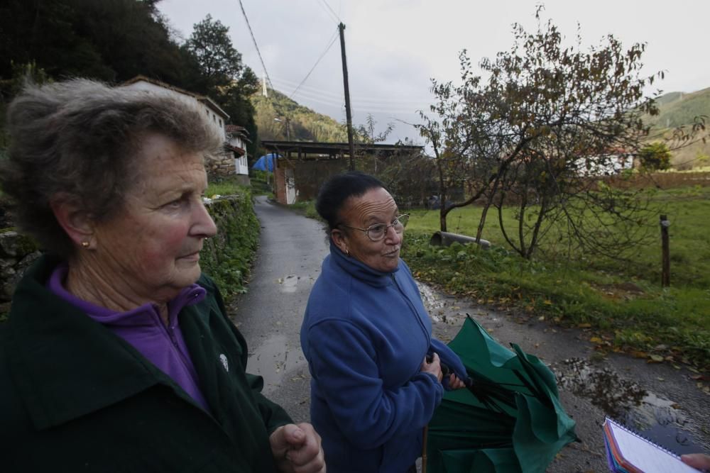 Aspecto del río Narcea a su paso por Laneo (Salas)