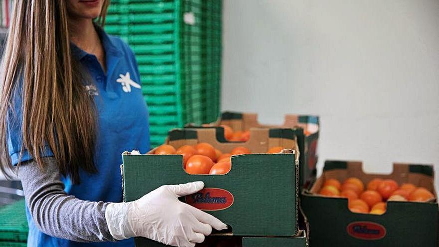 Gran recogida para el Banco de Alimentos