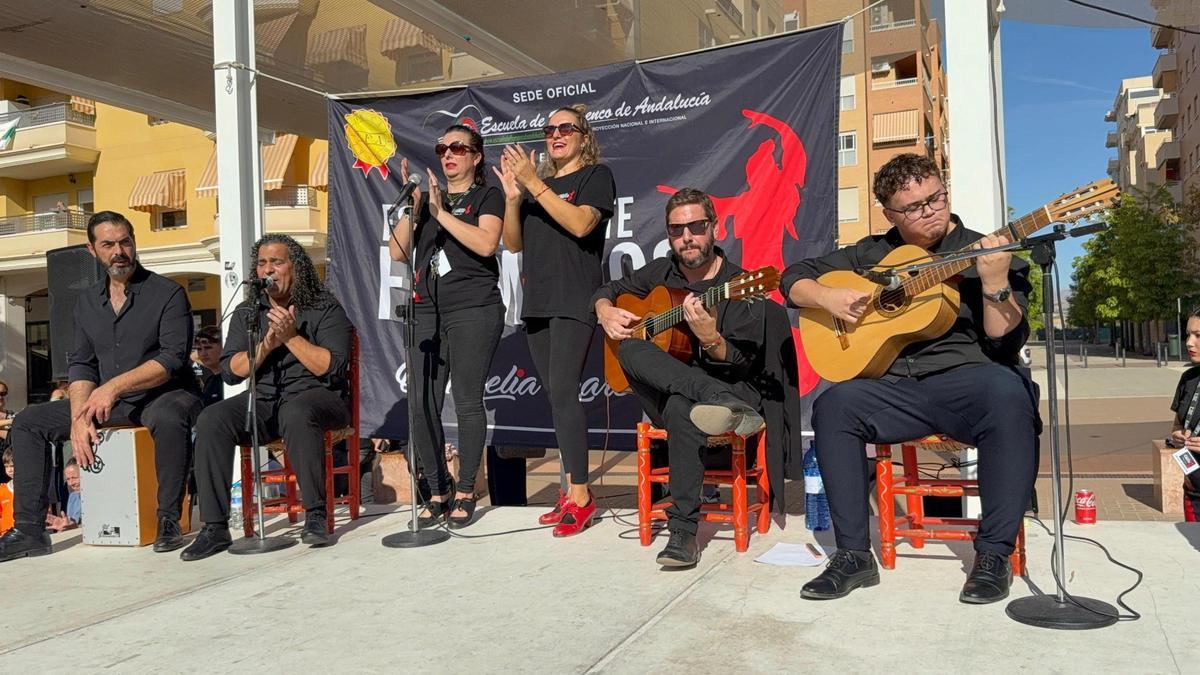 Parte del cuadro flamenco durante el flashmob en la Plaza de Castilla en Elche este sábado