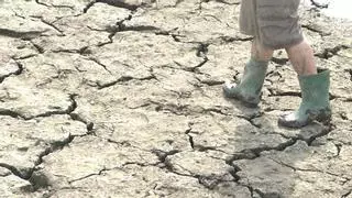 Andalucía y Cataluña se enfrentan a las mayores sequías desde 1961