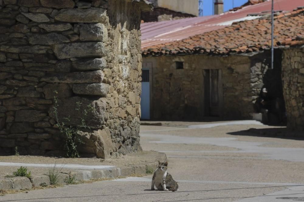 Villalcampo, belleza escondida.