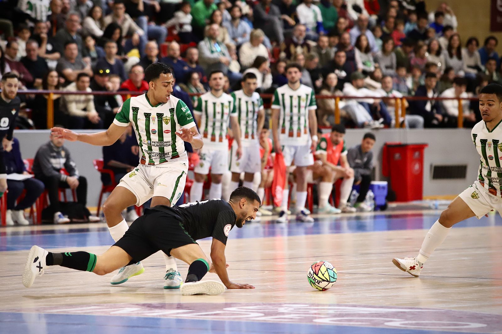 Córdoba Futsal-Real Betis: las imágenes del partido en Vista Alegre