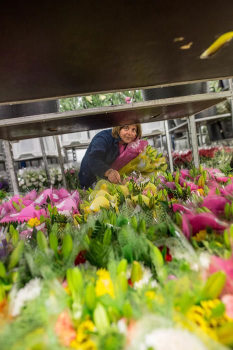 Un millón y medio de flores para el recuerdo