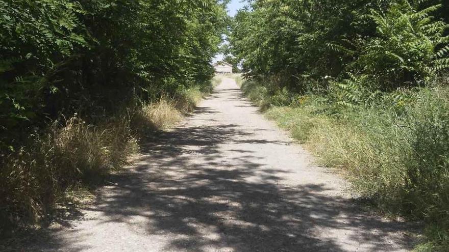 Carretera de Morales a El Perdigón.