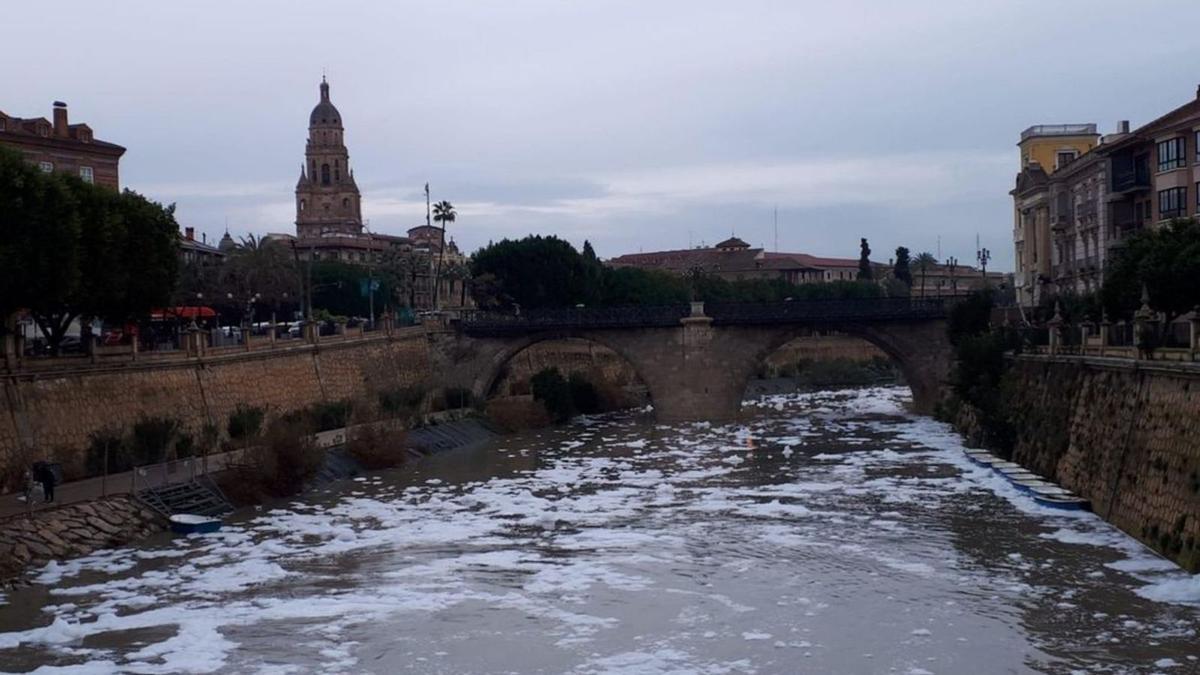 Aparición intermitente de espuma blanca en el Segura.