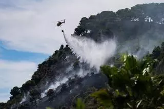 Incendio en Montjuïc, en la zona del Morrot