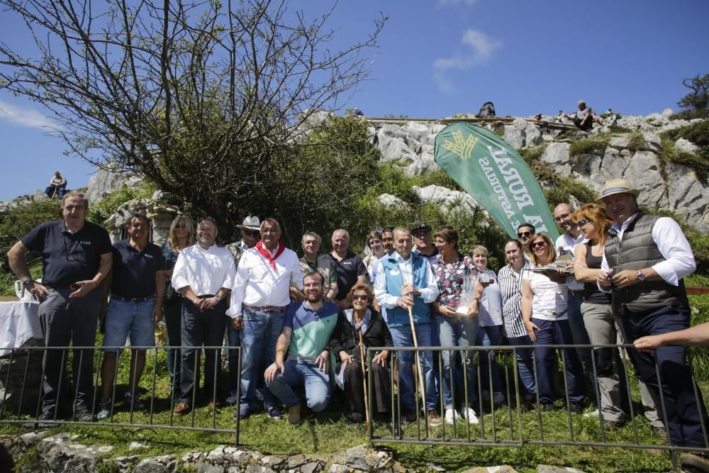 Fiesta del Asturcón en el Sueve