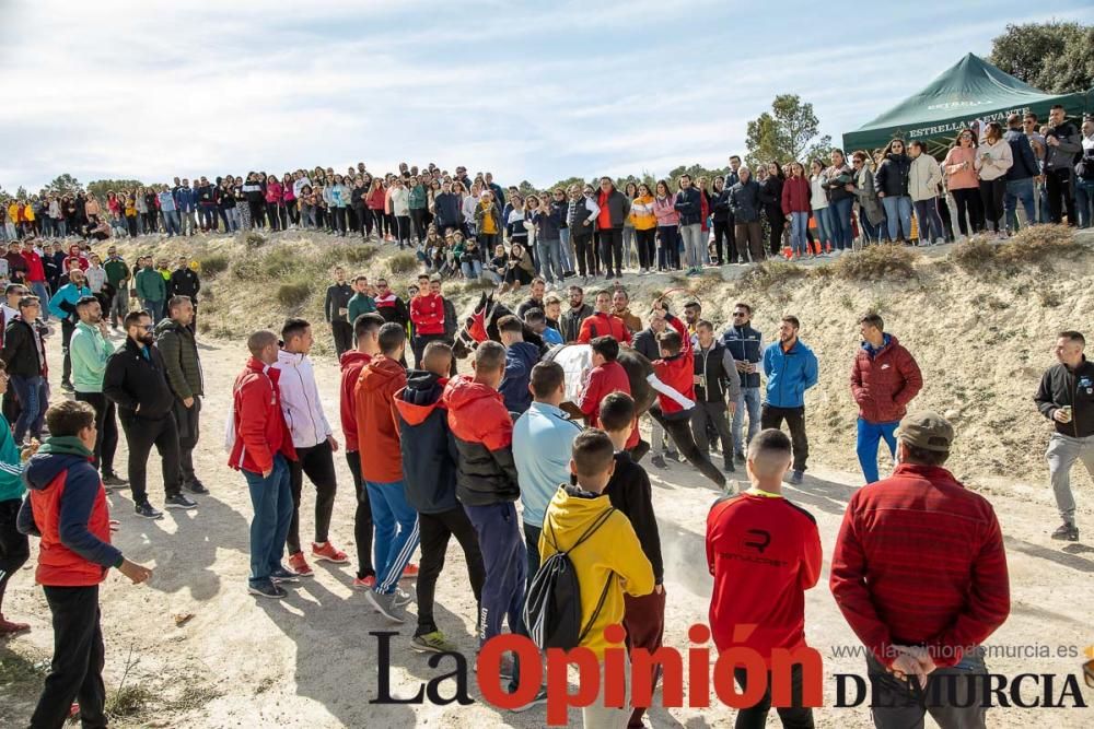 Carrera de entrenamiento de los Caballos del Vino