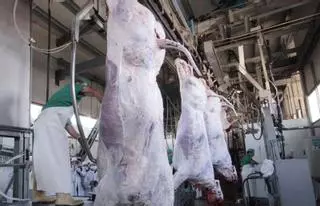 Zamora lidera el sacrificio de ovino en Castilla y León, con un 29% del mercado