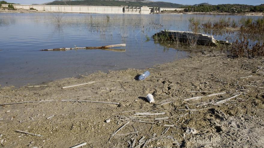 Un bosque de ribera para restaurar el embalse de Bellús