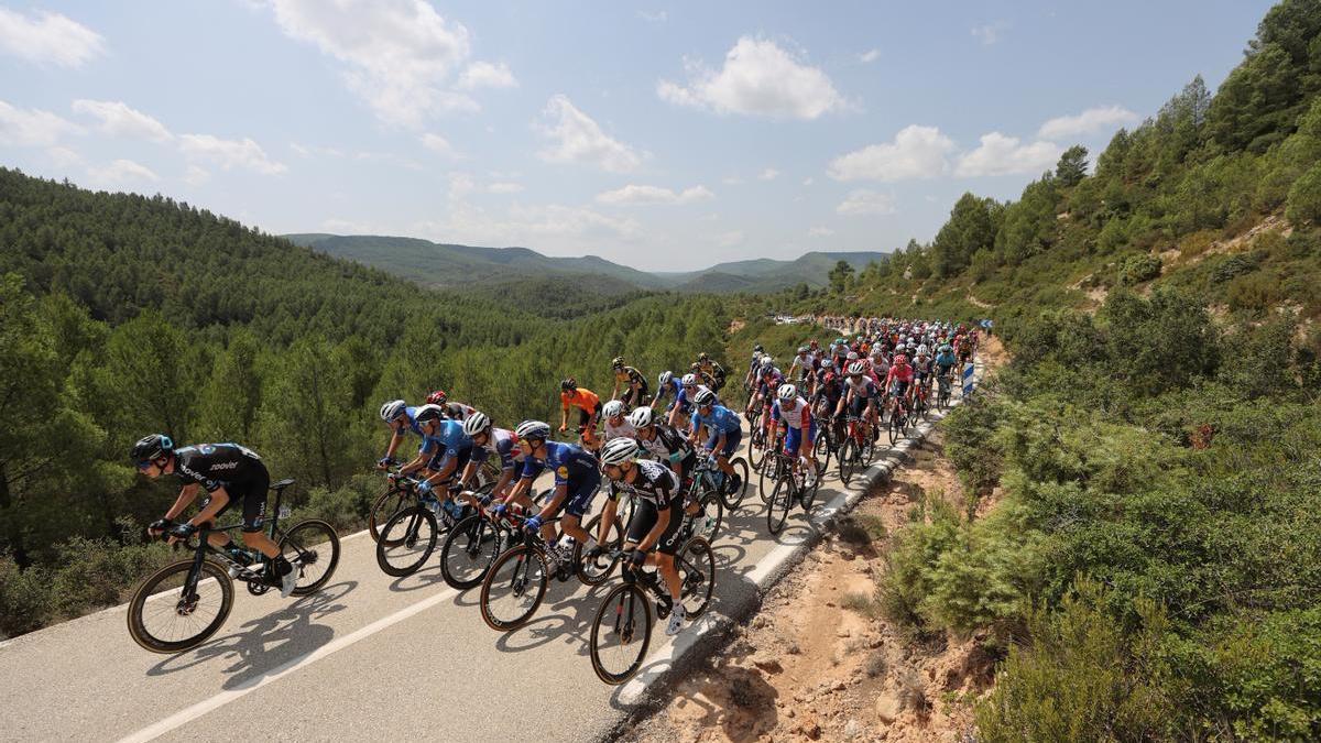 El pelotón de La Vuelta en una etapa entre Cullera y Requena