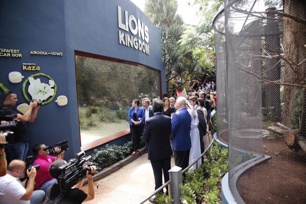 Delia Padrón Inauguración del Lion's Kingdom, la exhibición de los leones africanos, en Loro Parque