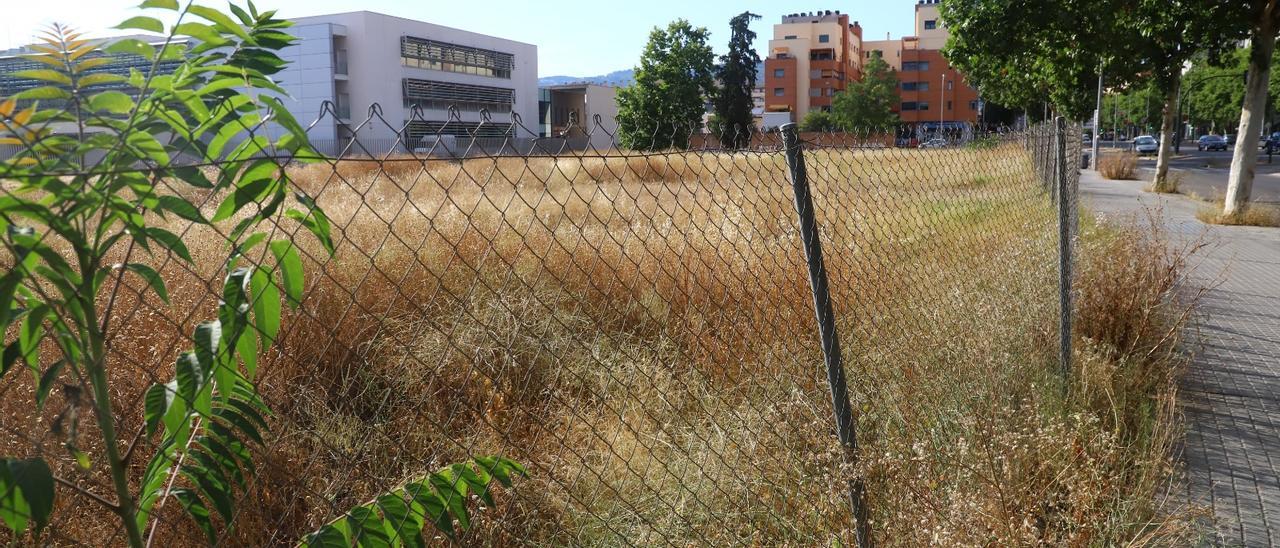 Solar de Noreña en el que Funlabor ha pedido espacio para construir un centro para discapacitados.