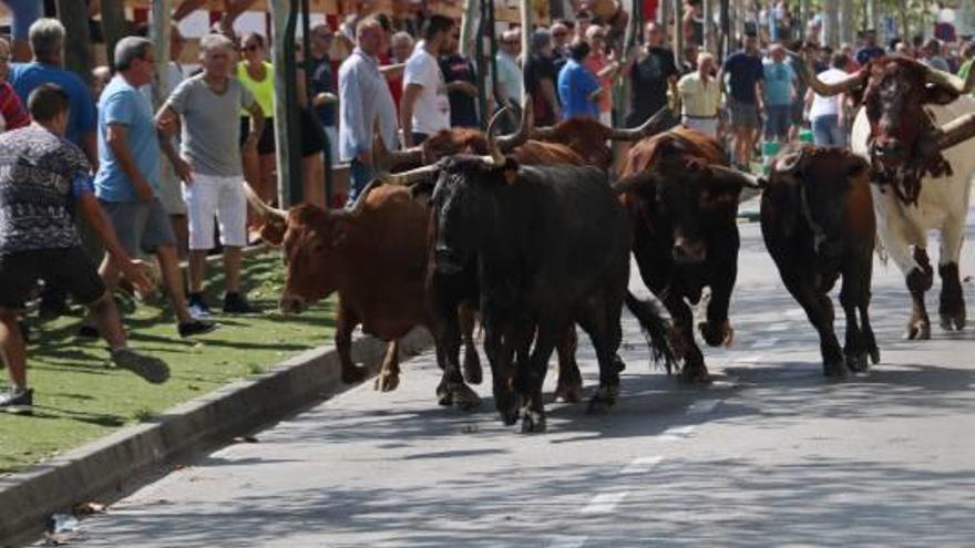 Benicàssim recupera el día de las peñas tras reunirse con  los jóvenes