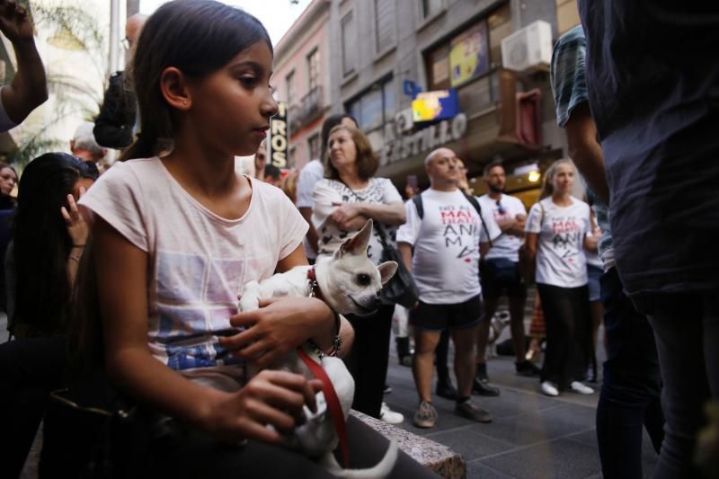 Concentración contra el maltrato animal