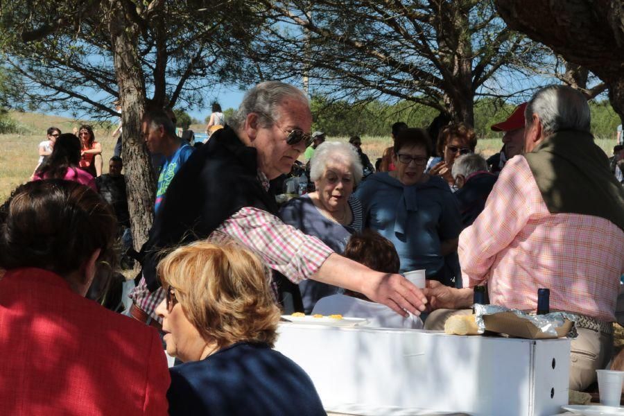 Romería de Valderrey en Zamora