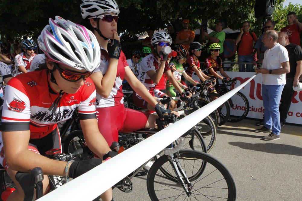 Campeonato de España de Ciclismo