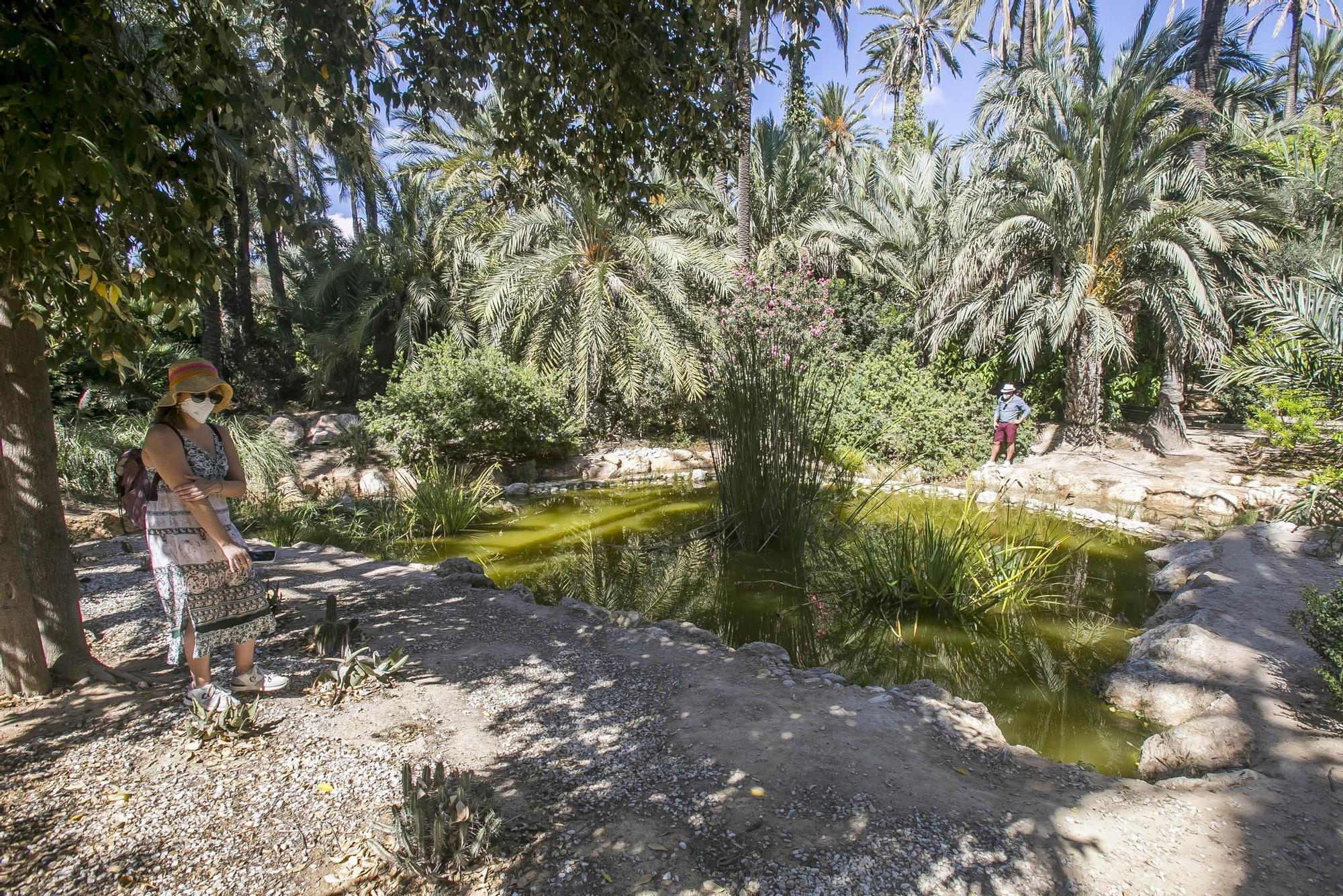 El Palmeral de Alicante, un oasis de abandono