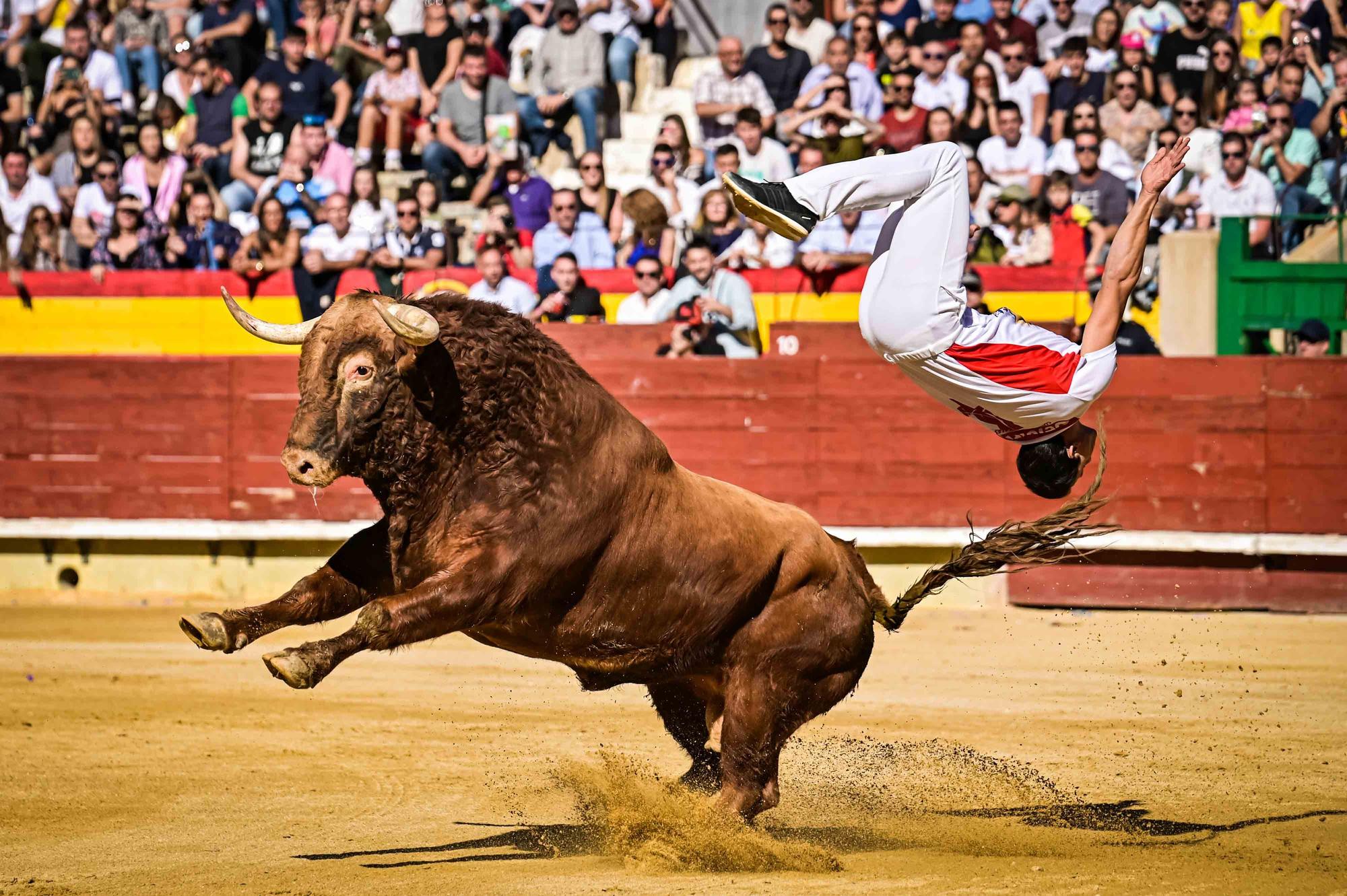 Final del campeonato de España de recortadores en Castelló