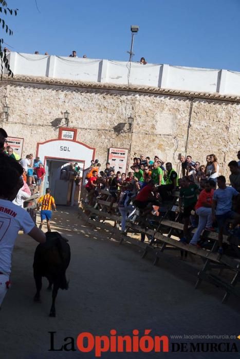 Primer encierro de Calasparra