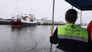 Un verano a pie, en bici o en barco para los adolescentes