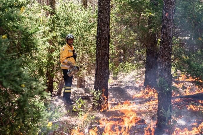 La UME realiza prácticas de prevención de incendios en Gran Canaria