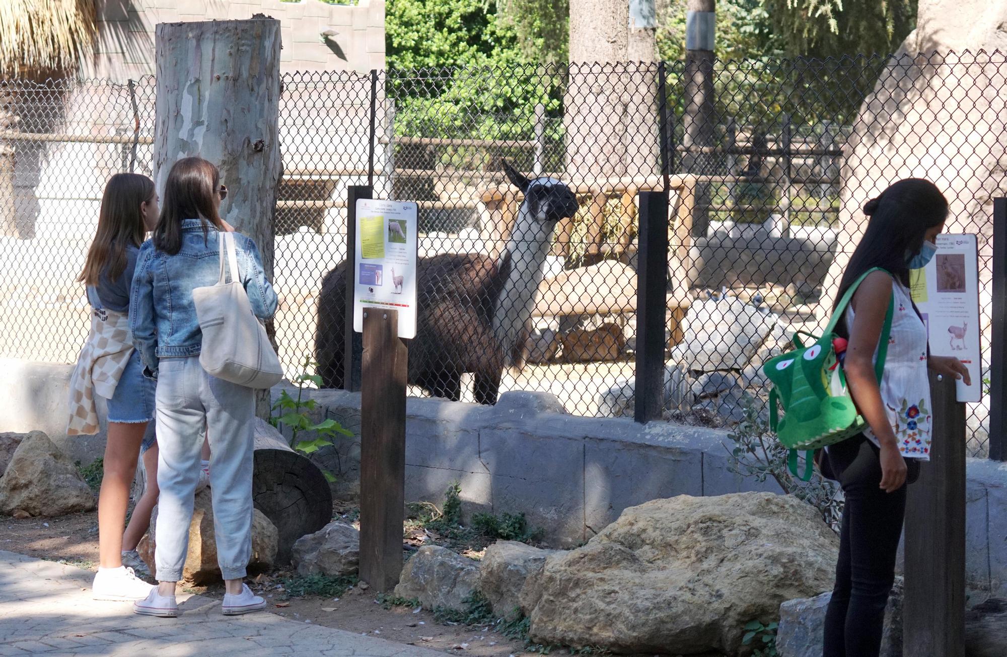 Día festivo en el Zoológico de Córdoba