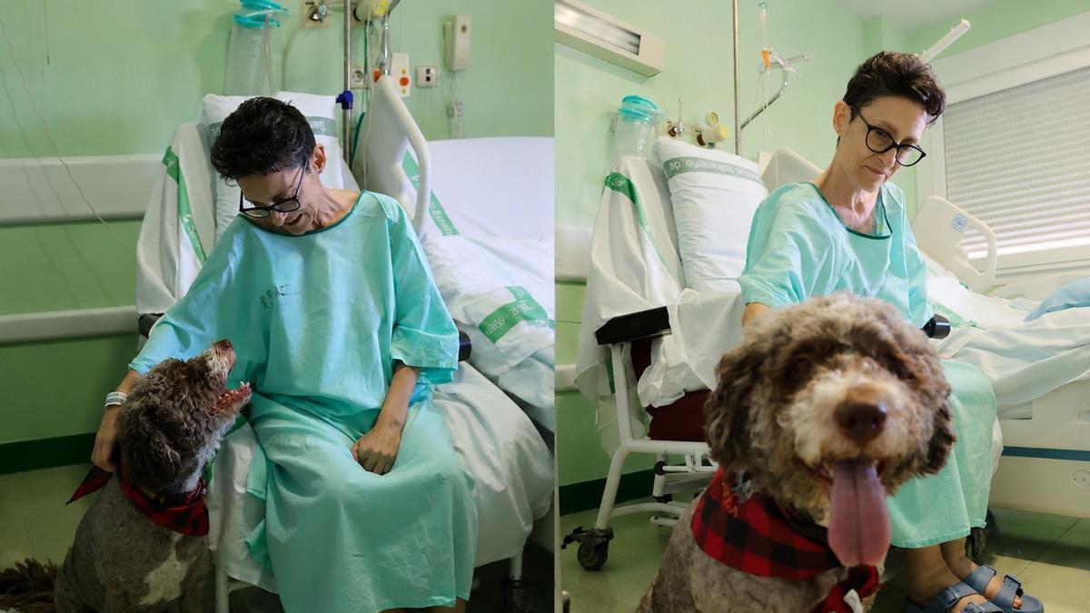 Video | Aida, enferma de cáncer, se reencuentra con su perrita Boira en el hospital de Plasencia