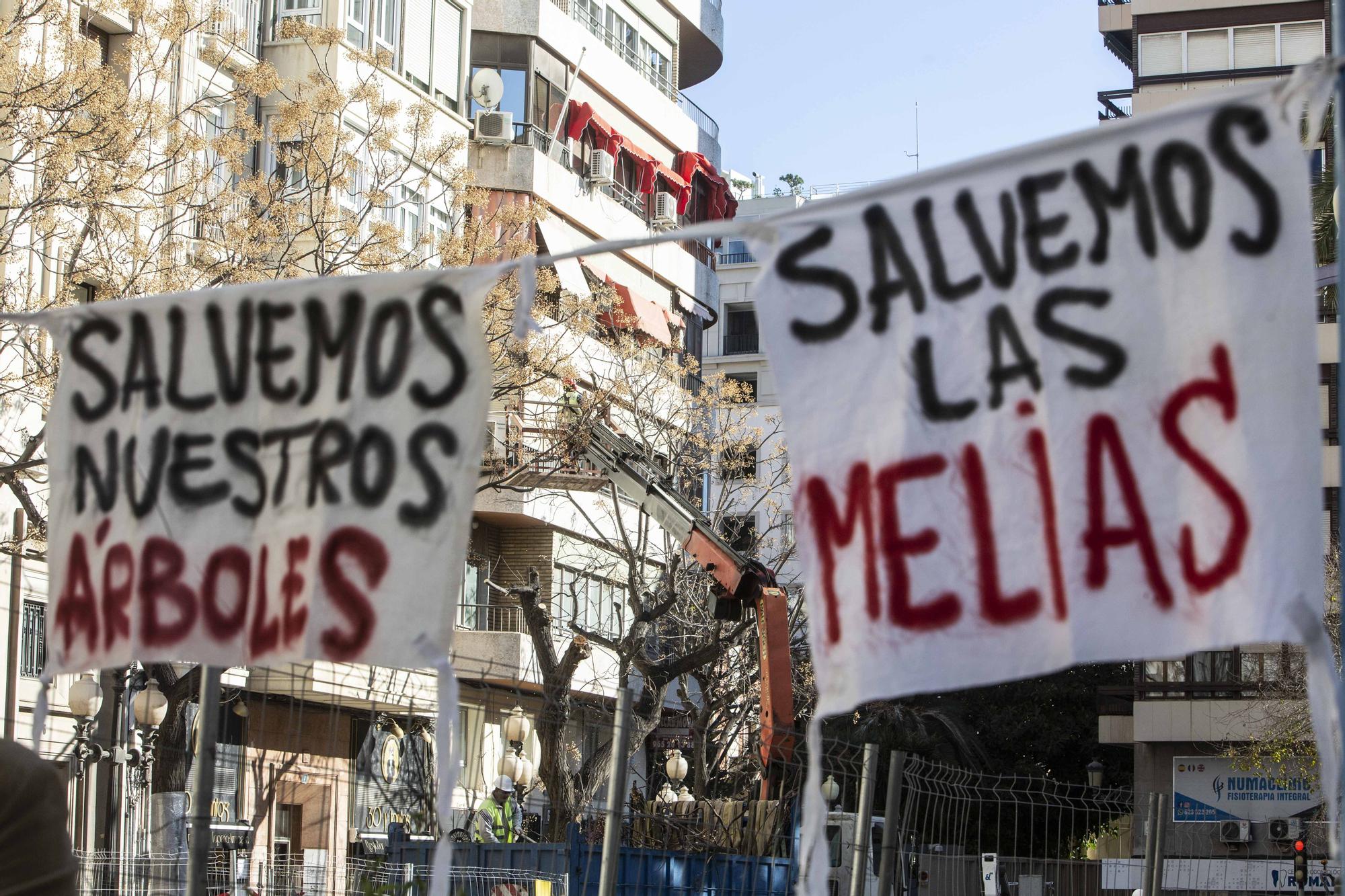 Podan las melias de la Avenida de la Constitución