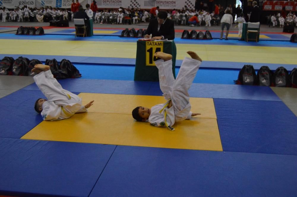 26ª edición de la Fiesta del Judo Infantil.