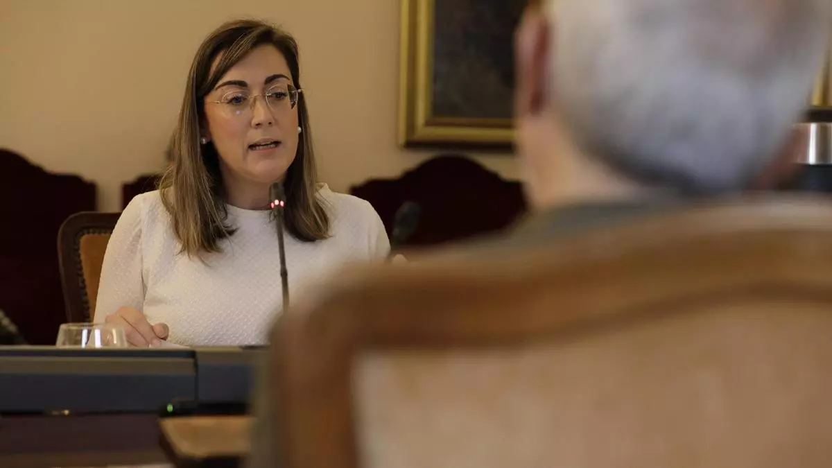 La respuesta de la concejala de Vox en Oviedo a la que Canteli llamó verdulera: "Lo que Pedro dice de Juan dice más de Pedro que de Juan"