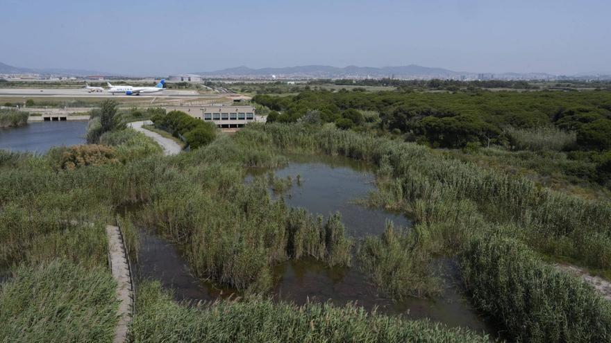La consultora ambiental del Prat impulsa els seus treballs