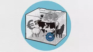 El largo, agitado y empinado camino del campo hacia las urnas para elegir el Consejo Agrario: un órgano que no se renueva desde 2002