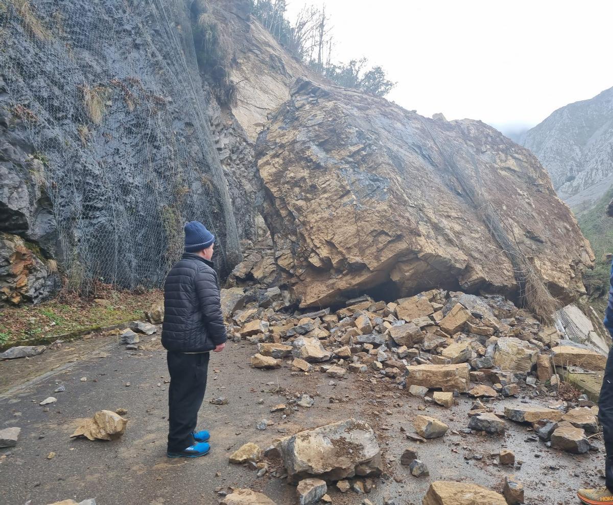 El impactante argayo registrado en la carretera de Viegu.