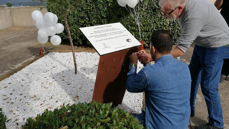 L&#039;Arbre dels Records a Sant Salvador de Guardiola