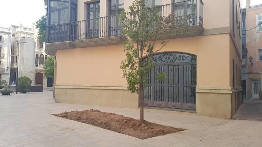 Uno de los árboles instalados en el hueco de los contenedores.